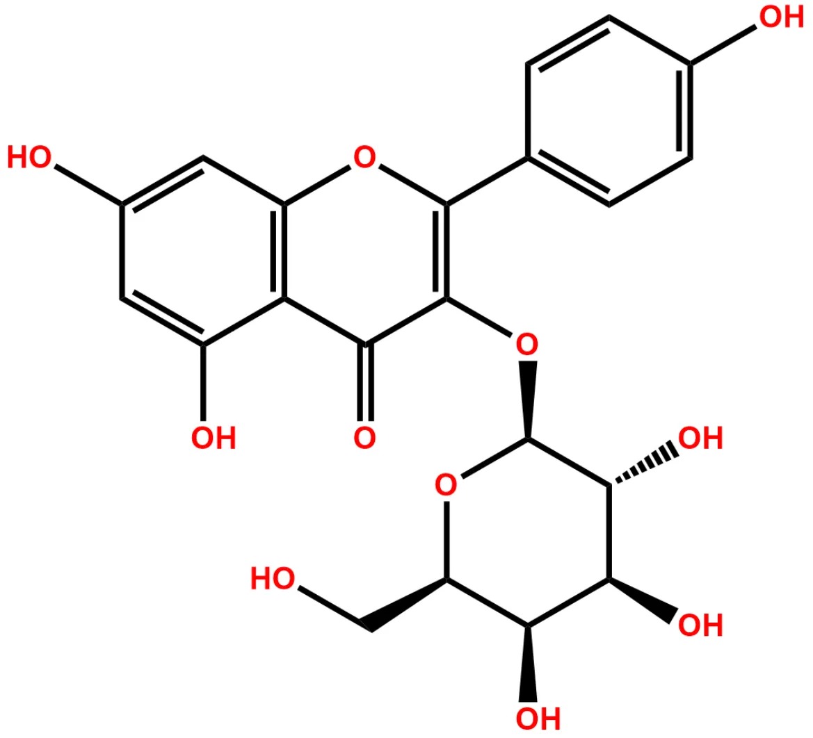 Kaempferol 3-O-Galactoside